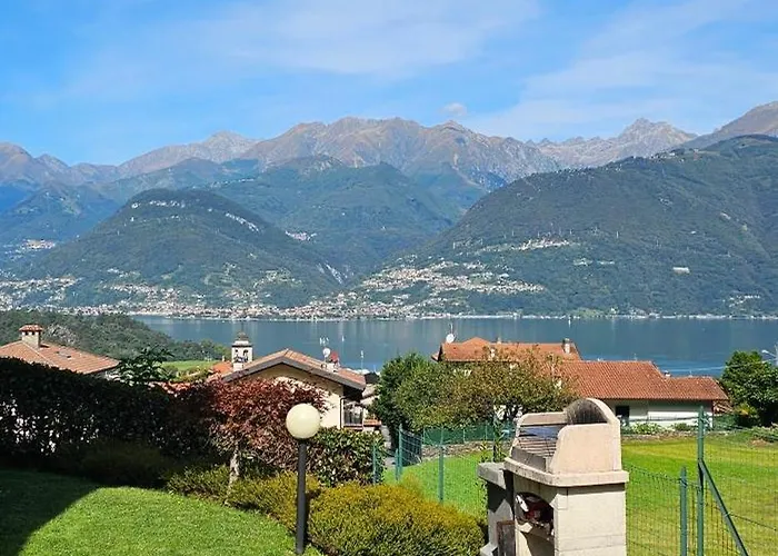 View *